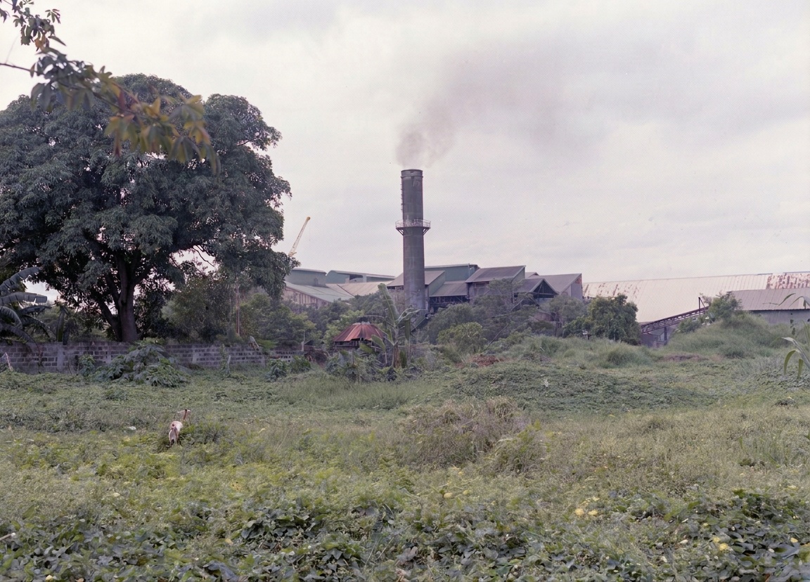 Maharlika, Philippines — image 15