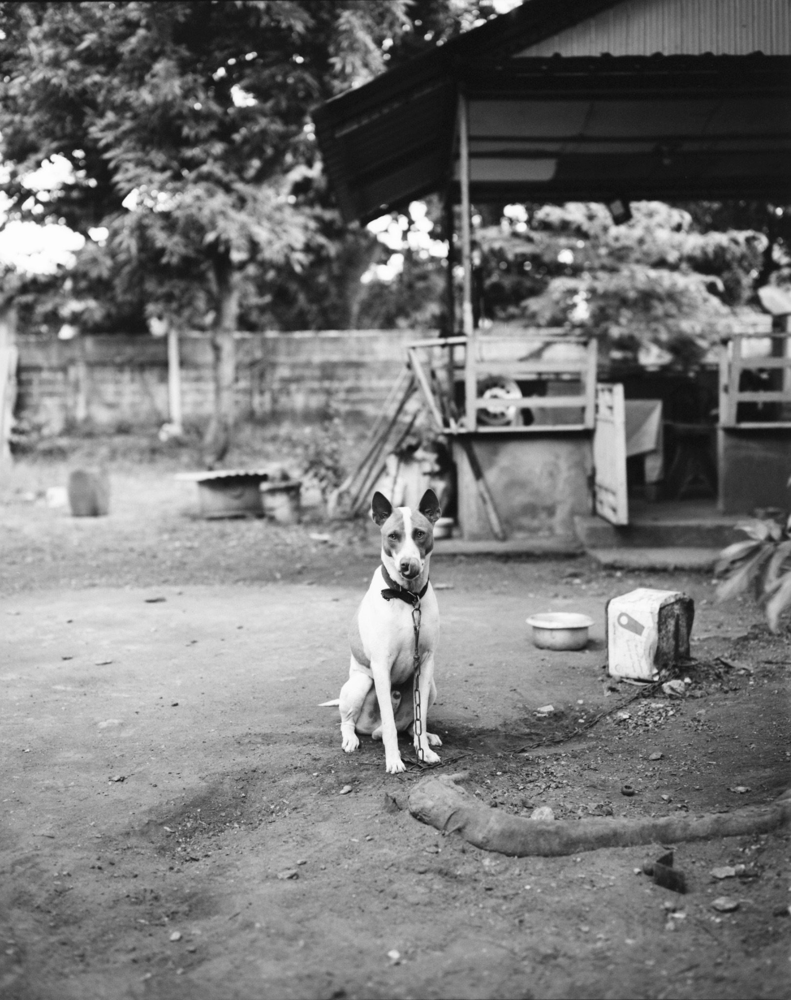 Maharlika, Philippines — image 60